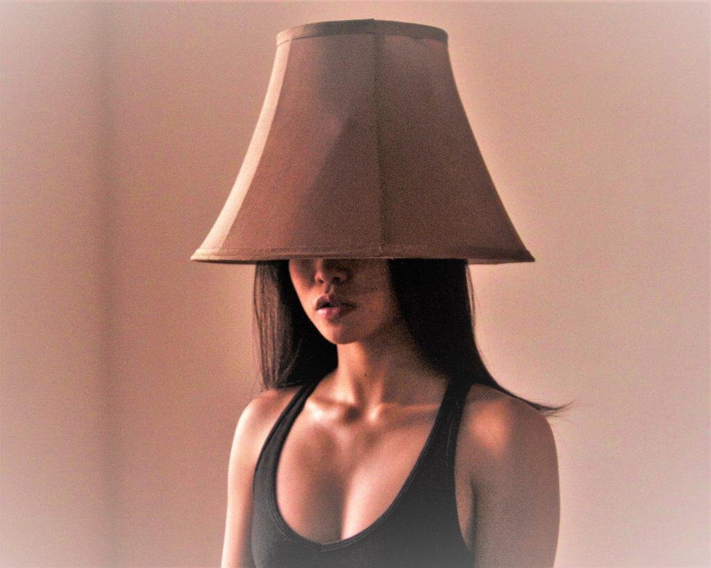 Go incognito with a lampshade over your head.