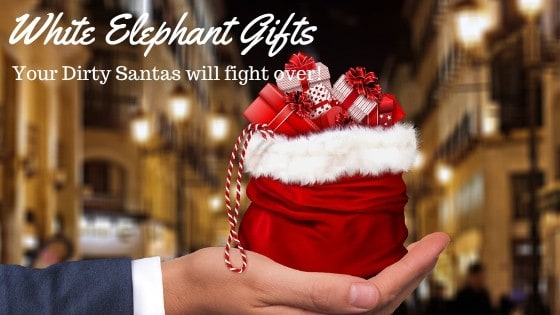 Gift Guide: Quick Gift Ideas for White Elephant and Dirty Santa under $25