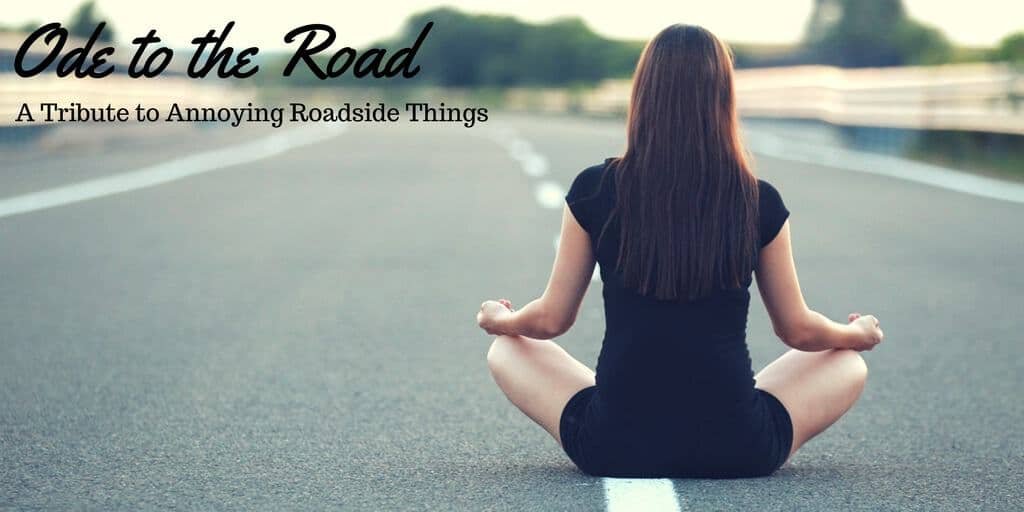 From flying rocks, to sneaky cops - Ode to the Road is a tribute to annoying roadside things.