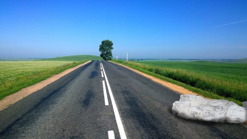 Oh blanket on the road, what are you hiding?