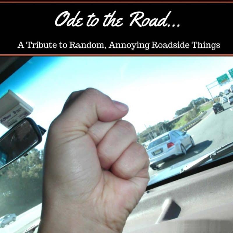 From flying rocks, to sneaky cops, I present "Ode to the Road" - A tribute to annoying roadside things.*