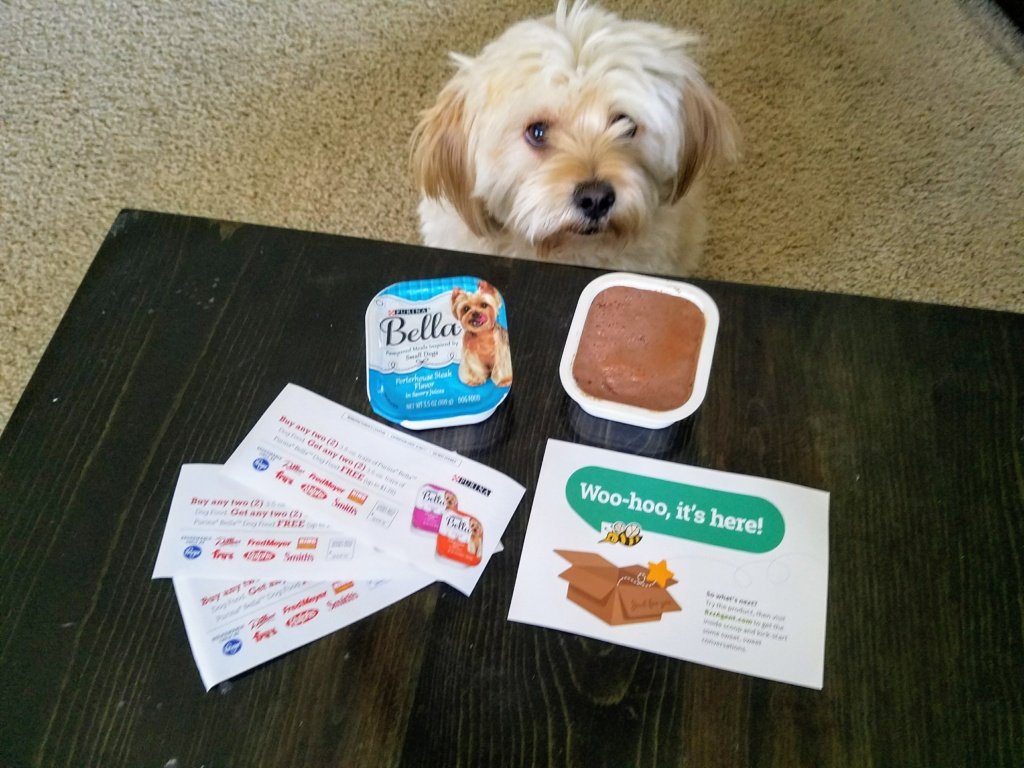 My dog Archie loves reviewing dog food and treats!